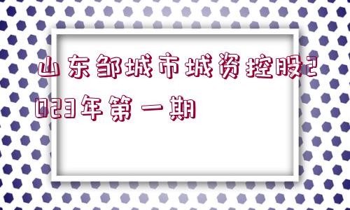 山東鄒城市城資控股2023年第一期