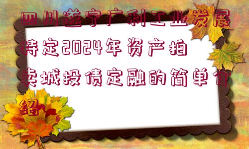 四川遂寧廣利工業(yè)發(fā)展特定2024年資產(chǎn)拍賣城投債定融的簡單介紹