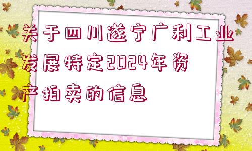 關(guān)于四川遂寧廣利工業(yè)發(fā)展特定2024年資產(chǎn)拍賣(mài)的信息