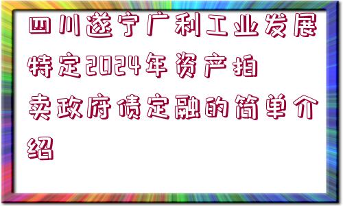 四川遂寧廣利工業(yè)發(fā)展特定2024年資產(chǎn)拍賣政府債定融的簡單介紹