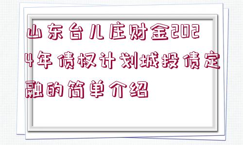 山東臺兒莊財金2024年債權(quán)計劃城投債定融的簡單介紹