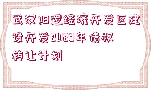 武漢陽邏經(jīng)濟開發(fā)區(qū)建設開發(fā)2023年債權(quán)轉(zhuǎn)讓計劃