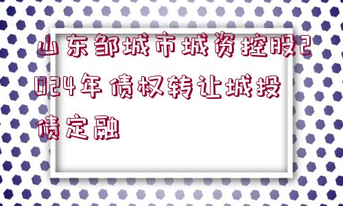 山東鄒城市城資控股2024年債權(quán)轉(zhuǎn)讓城投債定融