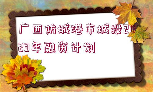 廣西防城港市城投2023年融資計(jì)劃