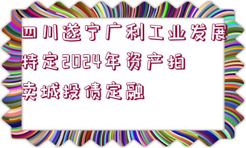 四川遂寧廣利工業(yè)發(fā)展特定2024年資產(chǎn)拍賣(mài)城投債定融