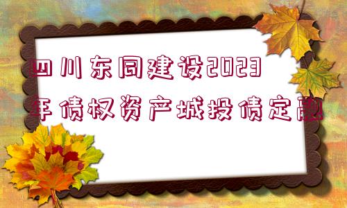 四川東同建設(shè)2023年債權(quán)資產(chǎn)城投債定融