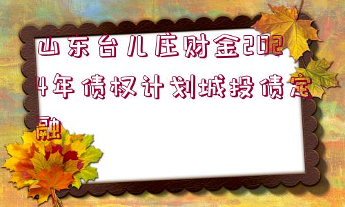 山東臺(tái)兒莊財(cái)金2024年債權(quán)計(jì)劃城投債定融