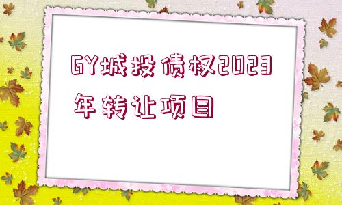 GY城投債權(quán)2023年轉(zhuǎn)讓項目