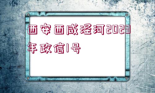 西安西咸涇河2023年政信1號