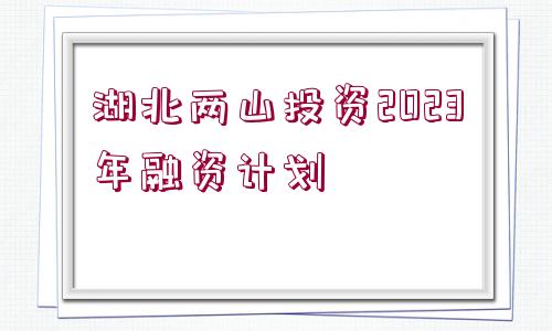 湖北兩山投資2023年融資計劃