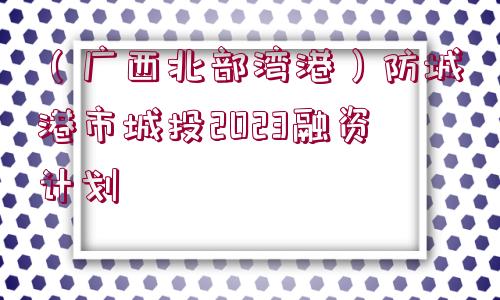 （廣西北部灣港）防城港市城投2023融資計劃