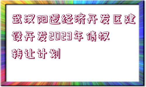 武漢陽邏經(jīng)濟開發(fā)區(qū)建設(shè)開發(fā)2023年債權(quán)轉(zhuǎn)讓計劃