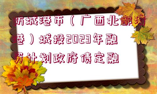 防城港市（廣西北部灣港）城投2023年融資計劃政府債定融