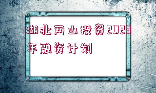 湖北兩山投資2023年融資計劃