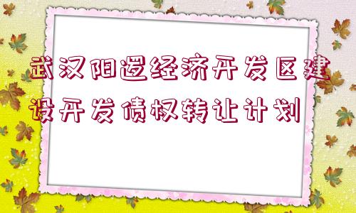 武漢陽邏經(jīng)濟(jì)開發(fā)區(qū)建設(shè)開發(fā)債權(quán)轉(zhuǎn)讓計劃