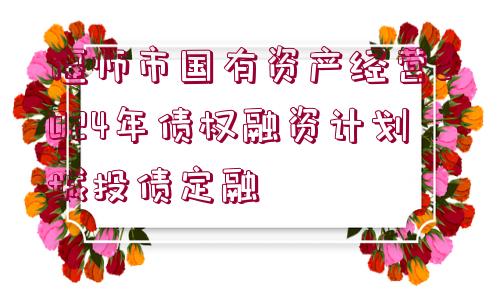 偃師市國(guó)有資產(chǎn)經(jīng)營(yíng)2024年債權(quán)融資計(jì)劃城投債定融