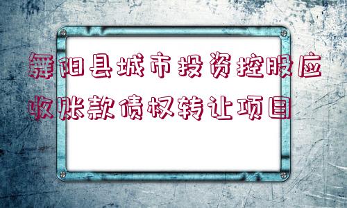 舞陽縣城市投資控股應收賬款債權轉讓項目