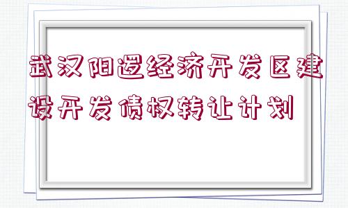 武漢陽邏經濟開發(fā)區(qū)建設開發(fā)債權轉讓計劃