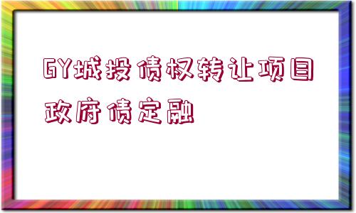 GY城投債權(quán)轉(zhuǎn)讓項(xiàng)目政府債定融