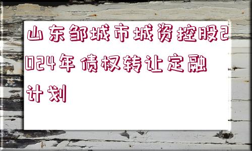 山東鄒城市城資控股2024年債權(quán)轉(zhuǎn)讓定融計劃