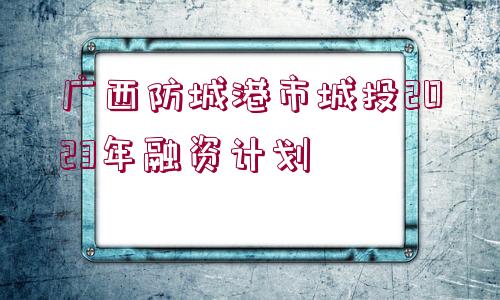 廣西防城港市城投2023年融資計劃