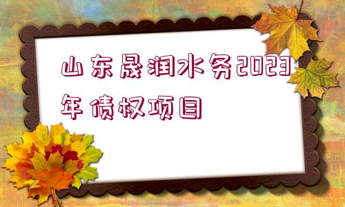 山東晟潤水務(wù)2023年債權(quán)項目