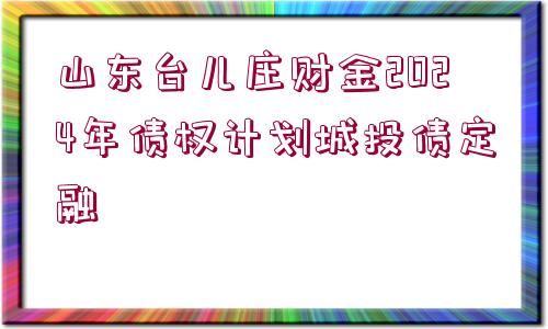 山東臺(tái)兒莊財(cái)金2024年債權(quán)計(jì)劃城投債定融