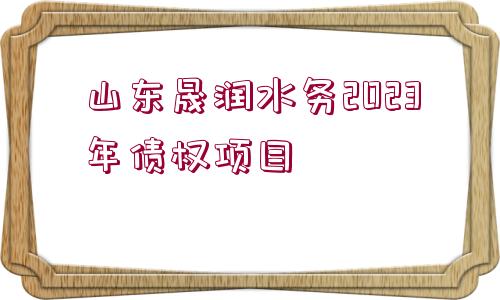 山東晟潤水務2023年債權項目