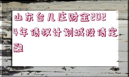 山東臺(tái)兒莊財(cái)金2024年債權(quán)計(jì)劃城投債定融