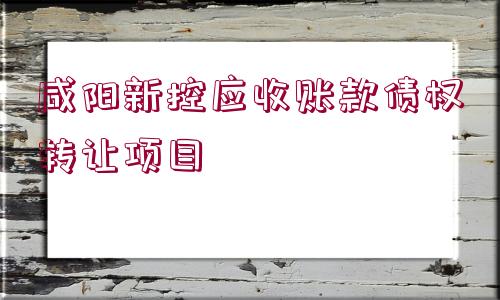 咸陽新控應(yīng)收賬款債權(quán)轉(zhuǎn)讓項(xiàng)目