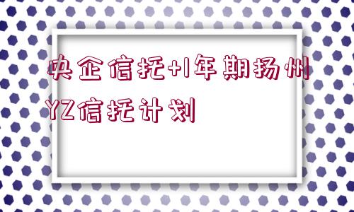 央企信托+1年期揚(yáng)州YZ信托計(jì)劃