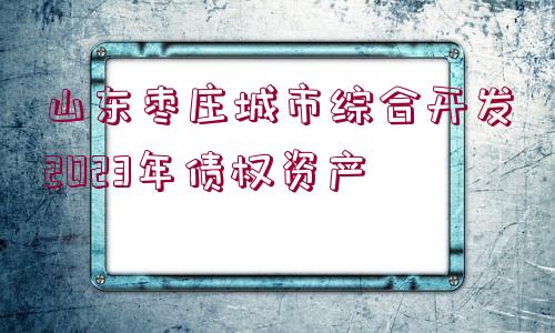 山東棗莊城市綜合開(kāi)發(fā)2023年債權(quán)資產(chǎn)