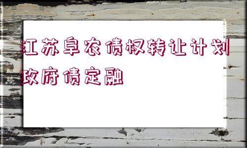 江蘇阜農(nóng)債權(quán)轉(zhuǎn)讓計劃政府債定融