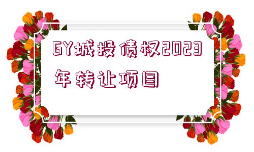 GY城投債權(quán)2023年轉(zhuǎn)讓項(xiàng)目