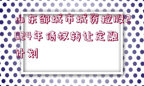 山東鄒城市城資控股2024年債權(quán)轉(zhuǎn)讓定融計(jì)劃