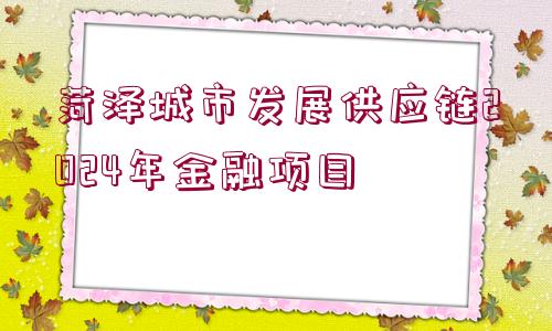 菏澤城市發(fā)展供應鏈2024年金融項目