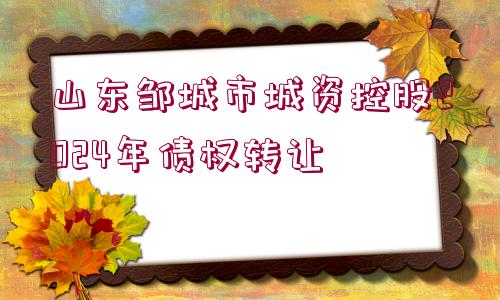 山東鄒城市城資控股2024年債權轉讓