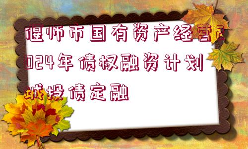 偃師市國有資產(chǎn)經(jīng)營2024年債權(quán)融資計(jì)劃城投債定融