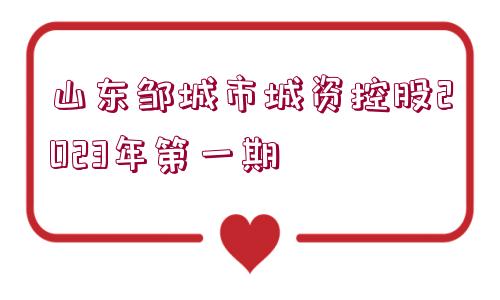山東鄒城市城資控股2023年第一期
