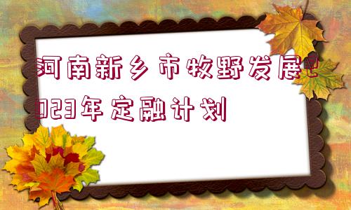 河南新鄉(xiāng)市牧野發(fā)展2023年定融計劃