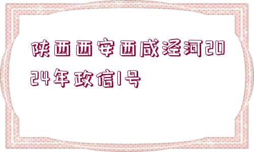 陜西西安西咸涇河2024年政信1號