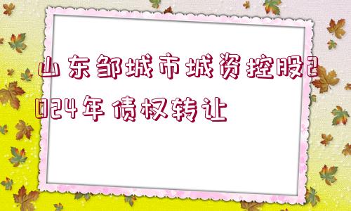 山東鄒城市城資控股2024年債權(quán)轉(zhuǎn)讓