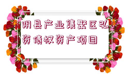 湯陰縣產(chǎn)業(yè)集聚區(qū)弘達(dá)投資債權(quán)資產(chǎn)項(xiàng)目