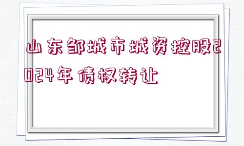 山東鄒城市城資控股2024年債權(quán)轉(zhuǎn)讓