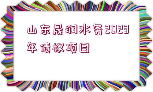 山東晟潤(rùn)水務(wù)2023年債權(quán)項(xiàng)目