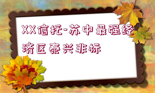 XX信托-蘇中最強(qiáng)經(jīng)濟(jì)區(qū)泰興非標(biāo)