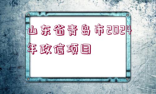 山東省青島市2024年政信項(xiàng)目