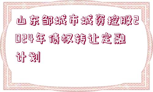 山東鄒城市城資控股2024年債權(quán)轉(zhuǎn)讓定融計(jì)劃