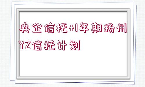 央企信托+1年期揚(yáng)州YZ信托計劃