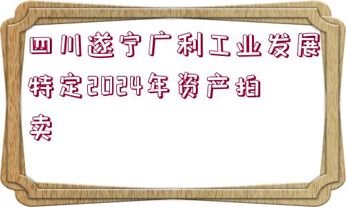 四川遂寧廣利工業(yè)發(fā)展特定2024年資產(chǎn)拍賣